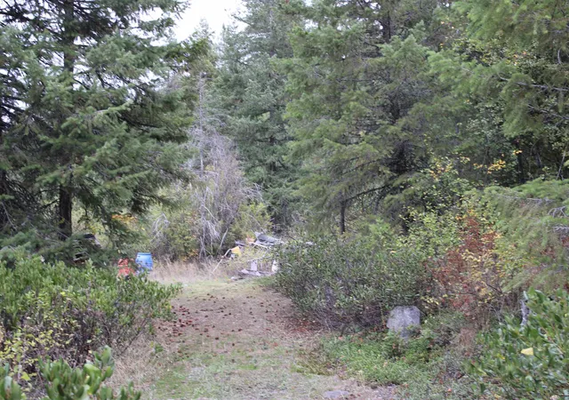 Photo 3 of Land for sale at 101 Hearts Delight Ln, Newport, WA 99156 | MLS# 202624865 | Listing updated on 2026-09-30