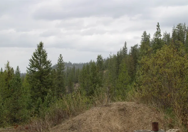 Photo 4 of Land for sale at 101 Hearts Delight Ln, Newport, WA 99156 | MLS# 202624865 | Listing updated on 2026-09-30