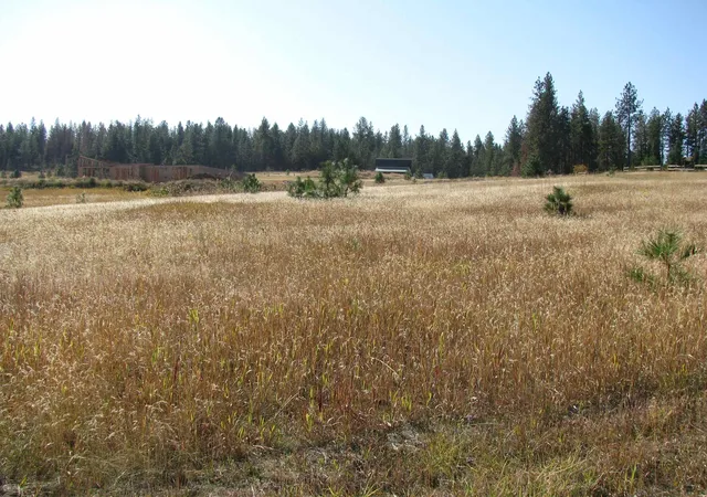Photo 2 of Land for sale at 7308 E Bigelow Gulch Rd, Spokane, WA 99217 | MLS# 202624930 | Listing updated on 2026-10-06