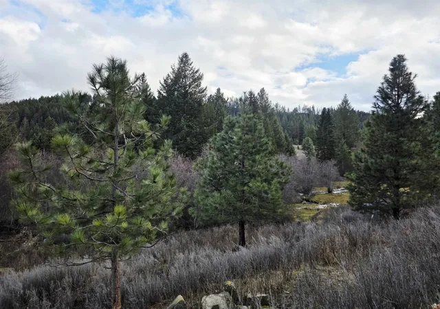 Photo 4 of Single family home for sale at 2477 Cedonia Addy Rd, Addy, WA 99101 | MLS# 202624940 | Listing updated on 2026-10-05