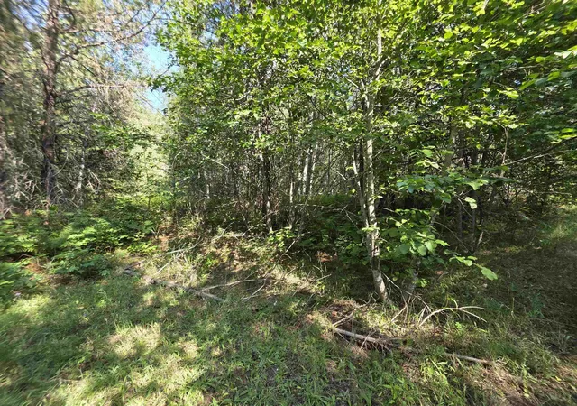 Photo 1 of Land for sale at 71 Hearts Delight Ln, Newport, WA 99156 | MLS# 202624944 | Listing updated on 2026-09-29