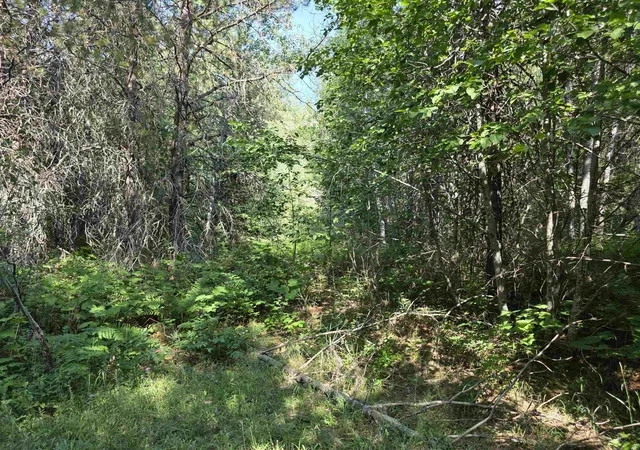 Photo 3 of Land for sale at 71 Hearts Delight Ln, Newport, WA 99156 | MLS# 202624944 | Listing updated on 2026-09-29