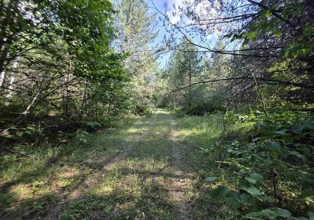 Photo 3 of Land for sale at 71 Hearts Delight Ln, Newport, WA 99156 | MLS# 202624944 | Listing updated on 2026-09-29