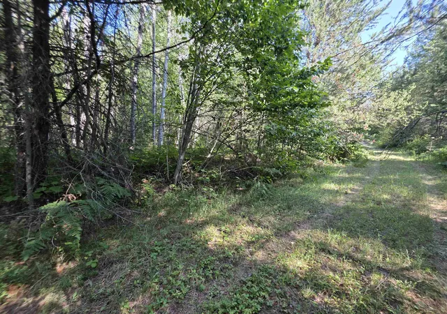Photo 4 of Land for sale at 71 Hearts Delight Ln, Newport, WA 99156 | MLS# 202624944 | Listing updated on 2026-09-29
