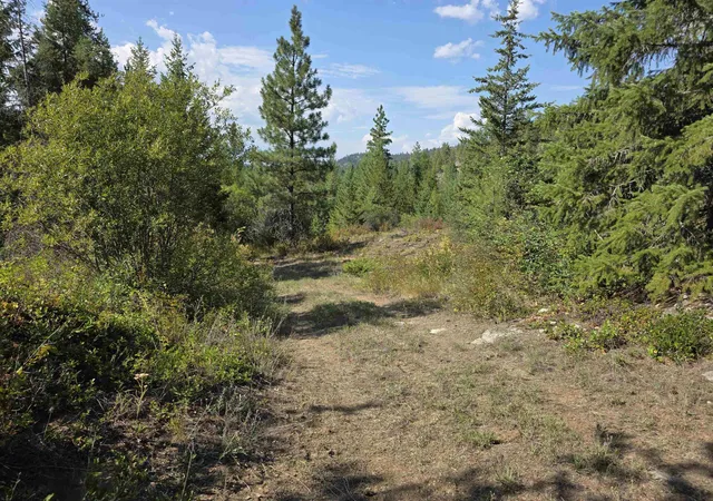 Land for sale at 251 Hearts Delight Ln, Newport, WA 99156 | MLS# 202624945