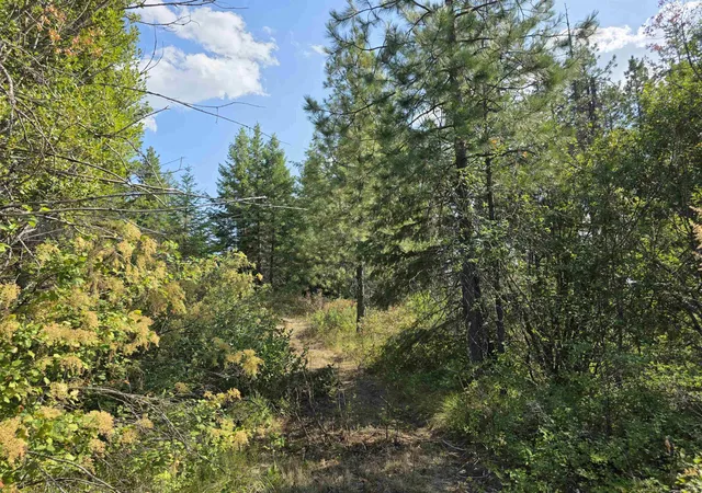 Photo 1 of Land for sale at 251 Hearts Delight Ln, Newport, WA 99156 | MLS# 202624945 | Listing updated on 2026-09-29