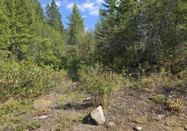 Photo 4 of Land for sale at 251 Hearts Delight Ln, Newport, WA 99156 | MLS# 202624945 | Listing updated on 2026-09-29