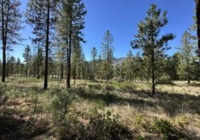 Photo 1 of Land for sale at 1176 Fumi Cir, Kettle Falls, WA 99141 | MLS# 202624951 | Listing updated on 2026-10-05