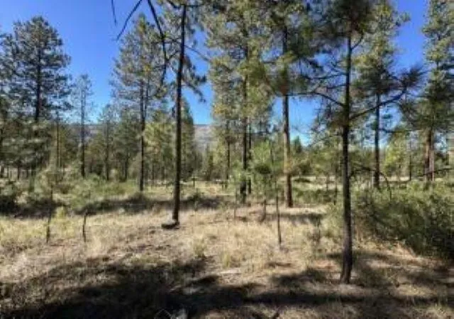 Photo 2 of Land for sale at 1176 Fumi Cir, Kettle Falls, WA 99141 | MLS# 202624951 | Listing updated on 2026-10-05