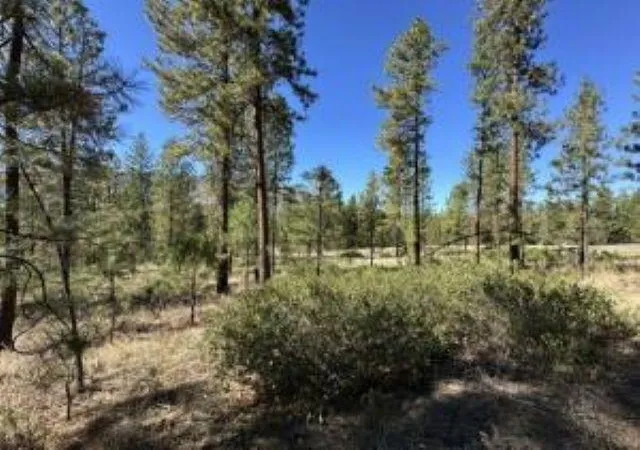 Photo 3 of Land for sale at 1176 Fumi Cir, Kettle Falls, WA 99141 | MLS# 202624951 | Listing updated on 2026-10-05