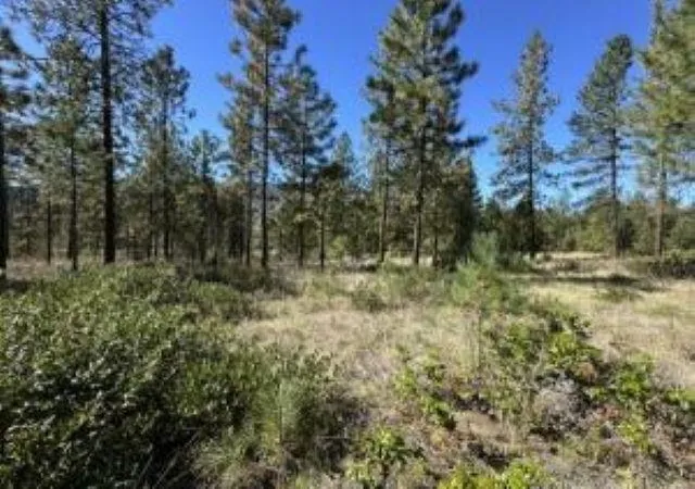 Photo 3 of Land for sale at 1176 Fumi Cir, Kettle Falls, WA 99141 | MLS# 202624951 | Listing updated on 2026-10-05