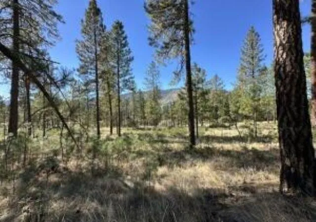 Photo 4 of Land for sale at 1176 Fumi Cir, Kettle Falls, WA 99141 | MLS# 202624951 | Listing updated on 2026-10-05