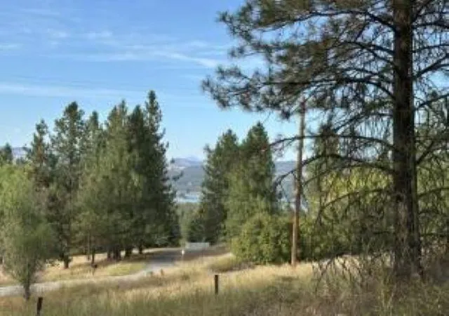 Photo 3 of Land for sale at 16xx N Highway 25, Evans, WA 99126 | MLS# 202624952 | Listing updated on 2026-10-05