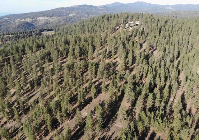 Photo 1 of Land for sale at Tbd Unassigned Address, Mead, WA 99021 | MLS# 202625010 | Listing updated on 2026-10-08