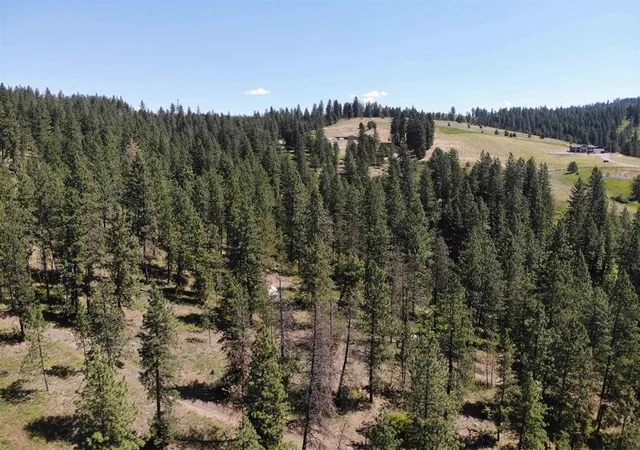 Photo 2 of Land for sale at Tbd Unassigned Address, Mead, WA 99021 | MLS# 202625010 | Listing updated on 2026-10-08