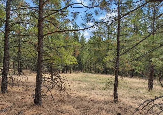 Photo 1 of Land for sale at Nka Ponderosa Way, Kettle Falls, WA 99141 | MLS# 202625048 | Listing updated on 2026-10-07