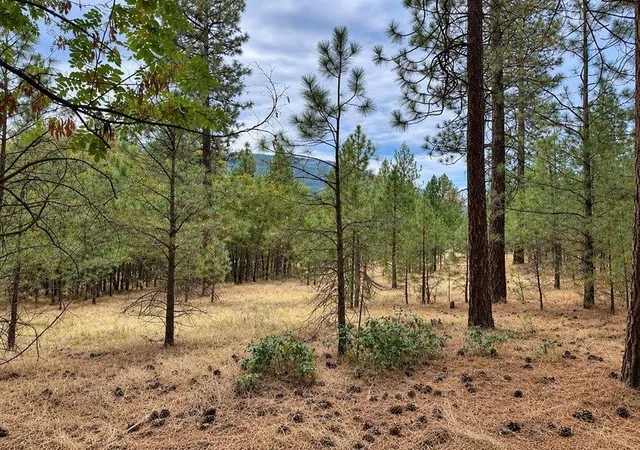 Photo 2 of Land for sale at Nka Ponderosa Way, Kettle Falls, WA 99141 | MLS# 202625048 | Listing updated on 2026-10-07