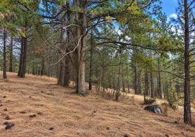 Photo 3 of Land for sale at Nka Ponderosa Way, Kettle Falls, WA 99141 | MLS# 202625048 | Listing updated on 2026-10-07