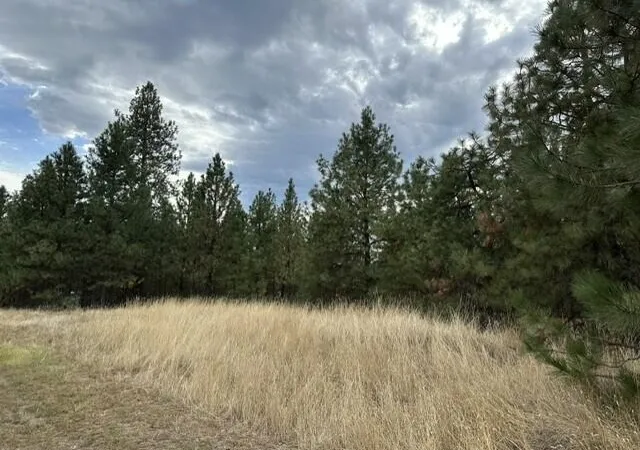 Photo 4 of Land for sale at Nka Ponderosa Way, Kettle Falls, WA 99141 | MLS# 202625048 | Listing updated on 2026-10-07
