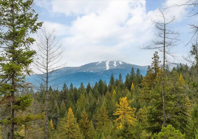 Photo 1 of Land for sale at 36022 N Milan Elk Rd, Chattaroy, WA 99003 | MLS# 202625052 | Listing updated on 2026-10-07