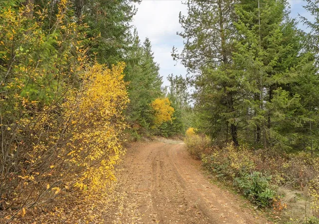 Photo 2 of Land for sale at 36022 N Milan Elk Rd, Chattaroy, WA 99003 | MLS# 202625052 | Listing updated on 2026-10-07