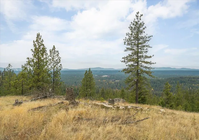 Photo 3 of Land for sale at 36022 N Milan Elk Rd, Chattaroy, WA 99003 | MLS# 202625052 | Listing updated on 2026-10-07
