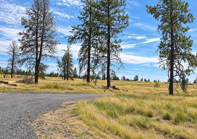 Land for sale at Xxxx S Bootstrap Ln, Cheney, WA 99004 | MLS# 202625105