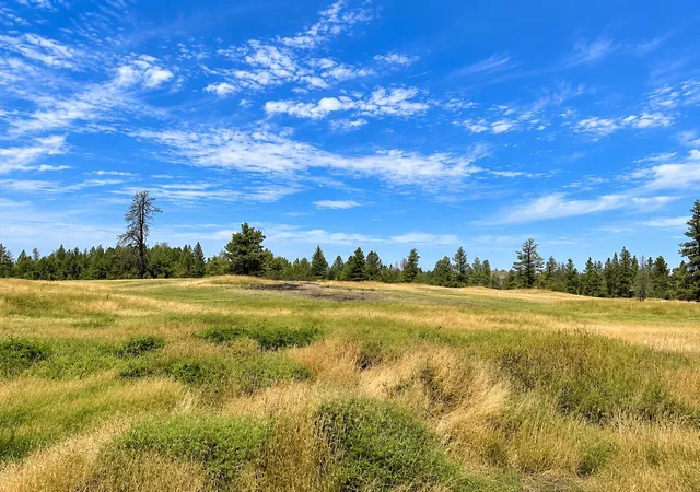 Photo 2 of Land for sale at Xxxx S Bootstrap Ln, Cheney, WA 99004 | MLS# 202625105 | Listing updated on 2026-10-08