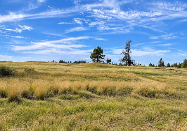 Photo 4 of Land for sale at Xxxx S Bootstrap Ln, Cheney, WA 99004 | MLS# 202625105 | Listing updated on 2026-10-08
