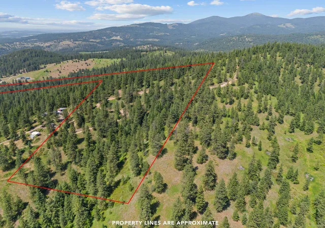 Photo 1 of Land for sale at Nna Scribner Branch Rd, Spokane, WA 99217 | MLS# 202625159 | Listing updated on 2026-10-08