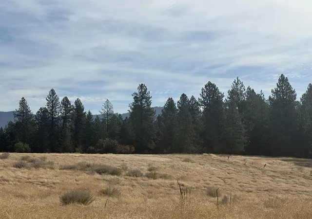Photo 3 of Land for sale at 25054 N Orchard Blf Rd, Chattaroy, WA 99003 | MLS# 202625162 | Listing updated on 2026-10-08