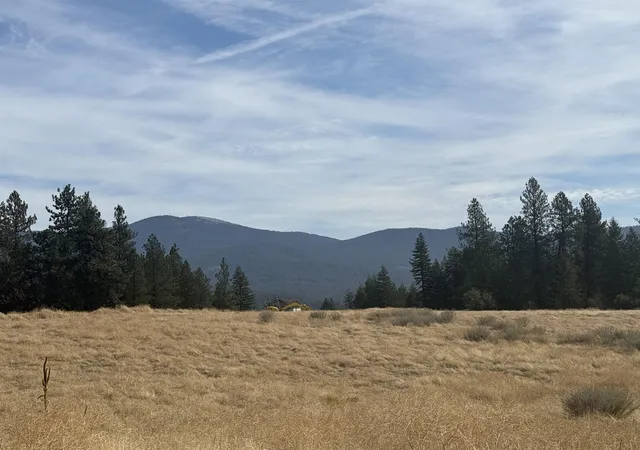 Photo 3 of Land for sale at 25054 N Orchard Blf Rd, Chattaroy, WA 99003 | MLS# 202625162 | Listing updated on 2026-10-08