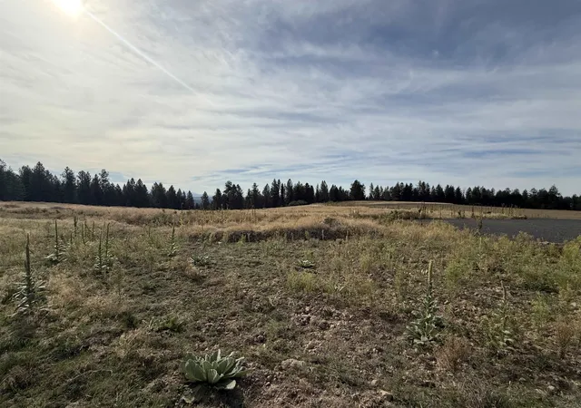 Photo 4 of Land for sale at 25054 N Orchard Blf Rd, Chattaroy, WA 99003 | MLS# 202625162 | Listing updated on 2026-10-08