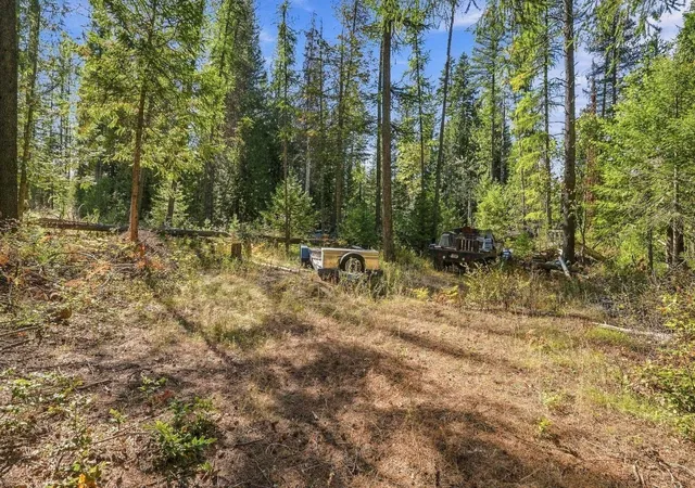 Photo 3 of Land for sale at 199 Casey Ct, Newport, WA 99156 | MLS# 202625163 | Listing updated on 2026-10-01