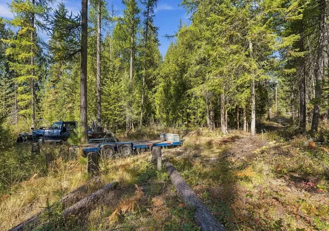 Photo 4 of Land for sale at 199 Casey Ct, Newport, WA 99156 | MLS# 202625163 | Listing updated on 2026-10-01