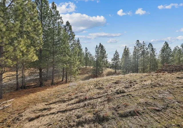 Photo 3 of Land for sale at Nka Lower Weaver Way, Deer Park, WA 99006 | MLS# 202625215 | Listing updated on 2026-10-08