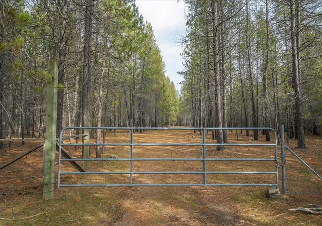 Photo 2 of Land for sale at 28202 N Bruce Rd, Chattaroy, WA 99003 | MLS# 202625269 | Listing updated on 2026-10-09