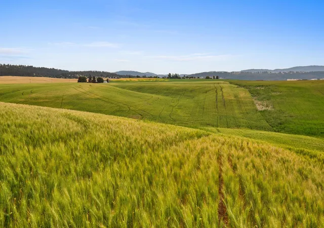 Photo 1 of Land for sale at Nka N Bruce Rd, Mead, WA 99021 | MLS# 202625281 | Listing updated on 2026-10-02