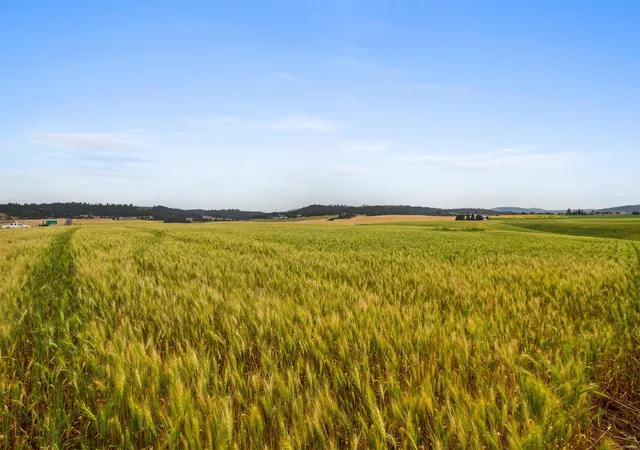 Photo 3 of Land for sale at Nka N Bruce Rd, Mead, WA 99021 | MLS# 202625281 | Listing updated on 2026-10-02