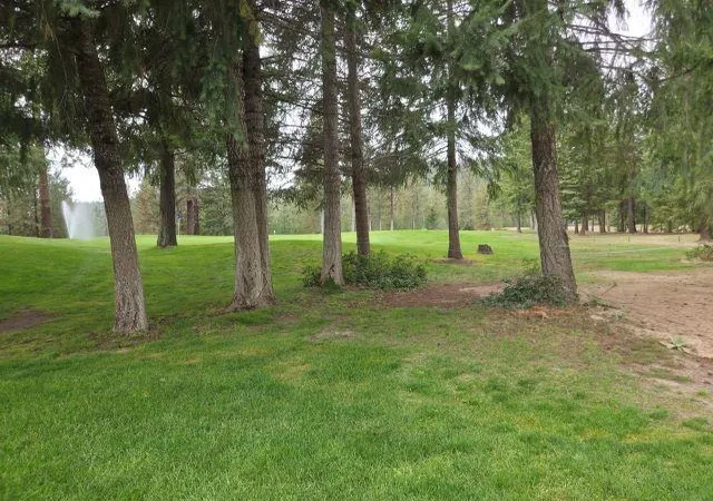 Photo 3 of Single family home for sale at 556 Palmer Ln, Chewelah, WA 99109 | MLS# 202625304 | Listing updated on 2026-10-09