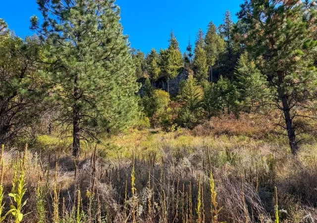 Photo 2 of Land for sale at 1989 Tbd S 25 Highway, Kettle Falls, WA 99141 | MLS# 202625377 | Listing updated on 2026-10-06