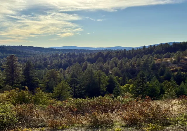 Photo 1 of Land for sale at Tbd Deer Valley Rd, Newport, WA 99156 | MLS# 202625390 | Listing updated on 2026-10-09