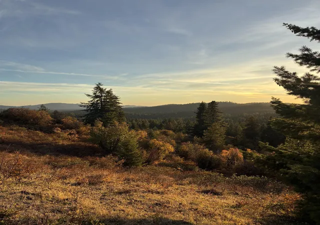 Photo 2 of Land for sale at Tbd Deer Valley Rd, Newport, WA 99156 | MLS# 202625390 | Listing updated on 2026-10-09