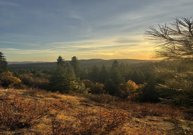 Photo 3 of Land for sale at Tbd Deer Valley Rd, Newport, WA 99156 | MLS# 202625390 | Listing updated on 2026-10-09