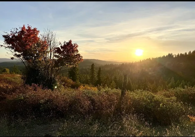 Photo 4 of Land for sale at Tbd Deer Valley Rd, Newport, WA 99156 | MLS# 202625390 | Listing updated on 2026-10-09
