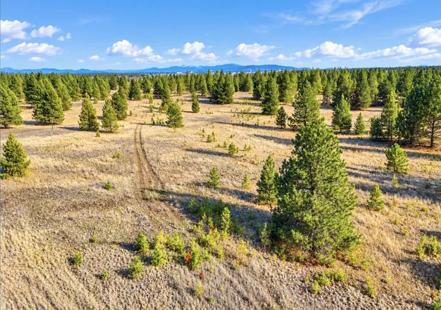 Photo 3 of Land for sale at 000 N Dover Rd, Medical Lake, WA 99022 | MLS# 202625410 | Listing updated on 2026-10-07