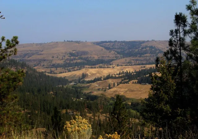 Photo 1 of Land for sale at 35770 Spruce Grouse N Ln, Davenport, WA 99122 | MLS# 202625420 | Listing updated on 2026-10-07