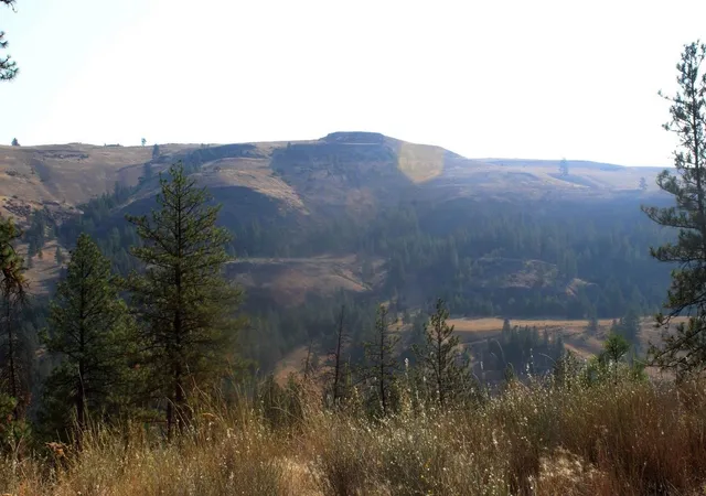 Photo 3 of Land for sale at 35770 Spruce Grouse N Ln, Davenport, WA 99122 | MLS# 202625420 | Listing updated on 2026-10-07