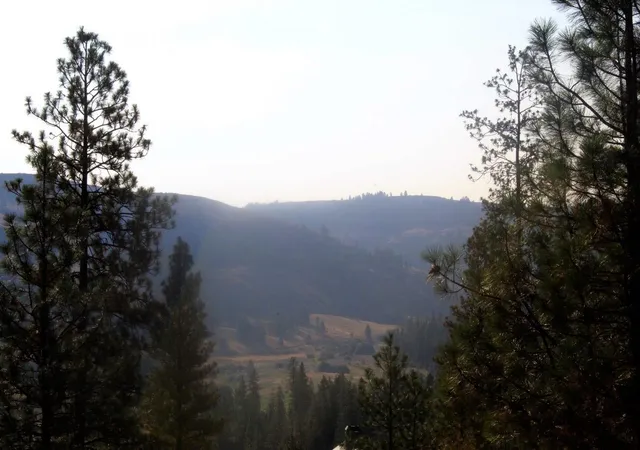Photo 3 of Land for sale at 35770 Spruce Grouse N Ln, Davenport, WA 99122 | MLS# 202625420 | Listing updated on 2026-10-07