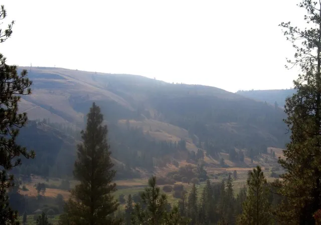 Photo 4 of Land for sale at 35770 Spruce Grouse N Ln, Davenport, WA 99122 | MLS# 202625420 | Listing updated on 2026-10-07